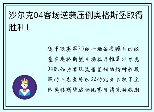 沙尔克04客场逆袭压倒奥格斯堡取得胜利！